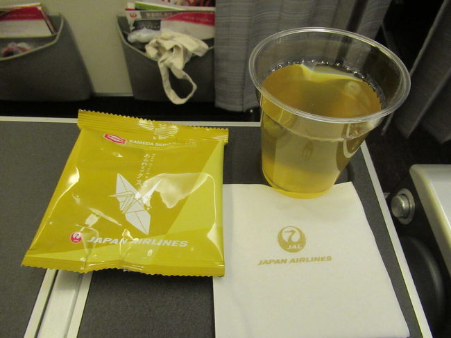 私はエコノミーで15Cなので、前は広々。<br />隣は10歳くらいの女の子で、一緒のママはビジネスクラスだったので、時々覗きにきていた。<br />1人でDVDを見たり、気づいたらぐっすり眠っていて、とても良い子だった。<br /><br />この便、周りに日本人を全然見なかった。