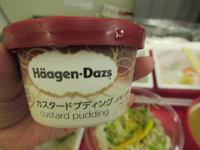 食べてる途中でアイスを置いて行った。<br /><br />うとうとしながら映画を2本見たかな。23:45分に到着。<br />この後イミグレまでが凄く遠かった。<br />入国審査はちょっと並んでたけど、サクサク進んで0:20分には外に出られた。<br />騙されてVISAを買わされたらどうしようなんて思ってたけど、こんなに人がいたからか観光？と日本語で言われただけで終了。