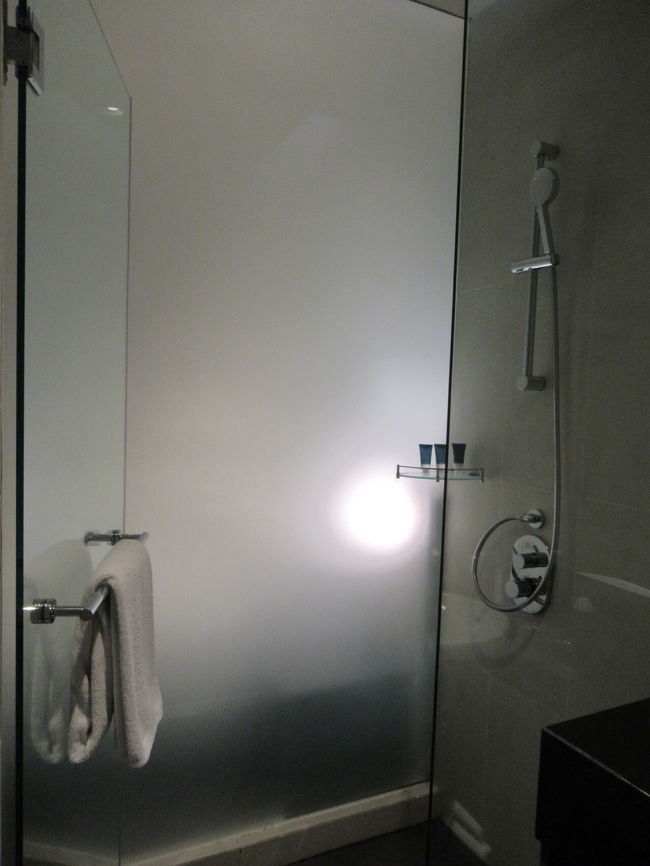 シャワーのみだけど、水圧も問題なし