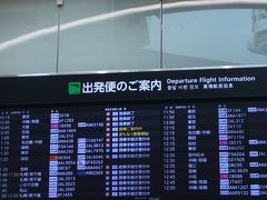 飛行機での移動