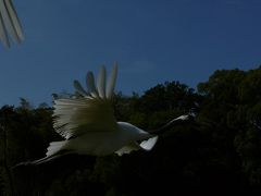 予定して開けていたルートとはハズれ近くを通り過ぎました
いいものが見れ撮れました