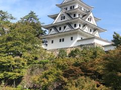 郡上八幡城。紅葉はまだまだですが、絵になるお城です。日本最古の木造再建城らしい。
山頂にあるため街中の至る所からお城の姿を見ることができます。