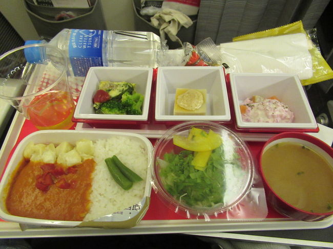 機内食はチキン。ちょっと辛くて美味しかったけど、ラウンジで食べたから味見程度