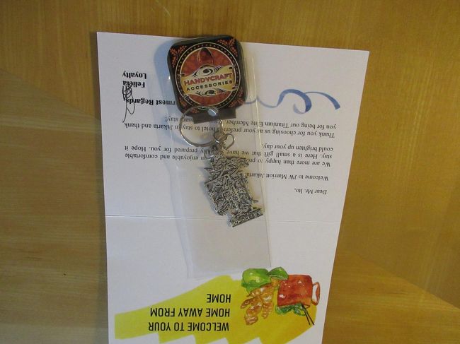 しばらくするとこんなのを持ってきた<br /><br />そういえばどっちのホテルもウェルカムフルーツとかはなかったな<br />