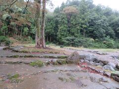 この場所が西山光照寺跡と言われましたが、建物は何も残っていません。
朝倉氏統治時代最大の寺院だったそうです。