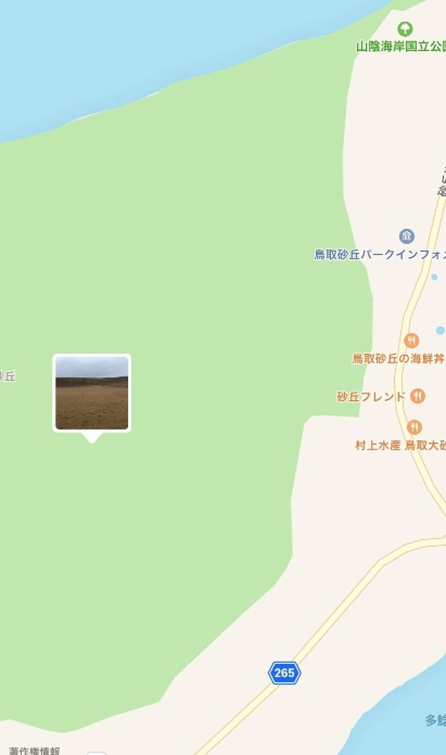 島根か鳥取か分かりませんが そこら辺に行ってきました 鳥取砂丘でドラクエウォーク そして遭難 鳥取市 鳥取県 の旅行記 ブログ By ジートさん フォートラベル 島根か鳥取か分かりませんが そこら辺に行ってきました 鳥取砂丘でドラクエウォーク そして遭難 鳥取市 鳥取県 の旅行記 ブログ By ジートさん フォートラベル