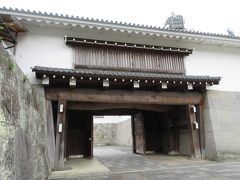 駿府城公園 (駿府城址、紅葉山庭園)