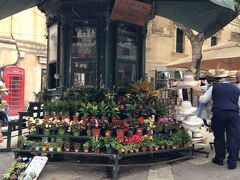 花屋さん
なぜか鉢物ばかり？