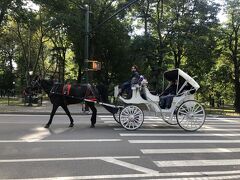 セントラルパーク
地下鉄駅５Ave－５９stから公園へ
観光客もそれ程でなく、のんびりと散策開始。