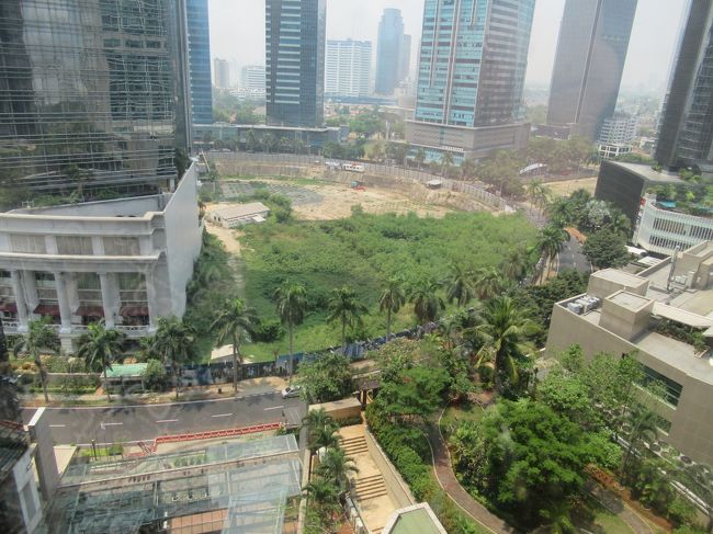 ラウンジからの眺め<br />昨日は関東は大雨で成田に泊まった人もいたらしい。私たちが乗った飛行機も大幅遅延になっていたので、旅程が1日ずれていたら大変なことになっていたかも。