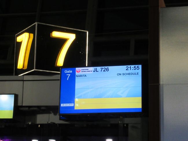 予定通りの出発です<br />帰りは優先搭乗の人が多かった。おまけに来るときは全然いなかったのに周りは日本人だらけだった。<br />そういえば、今回ホテルやモールでも日本人に全然合わなかった。