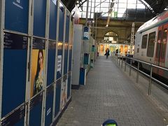 フランクフルト中央駅はホームの上にまでコインロッカーが増殖してました・・が、謎の稼働状況。