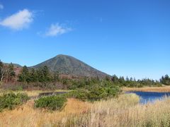 11:30
「睡蓮沼」