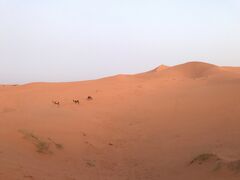 時刻は7：00ごろ、だんだん明るくなってきた砂丘に登ります。
朝はやや寒いかなー。
砂にまみれるからサンダルを履いているんだけど、砂が冷たい。