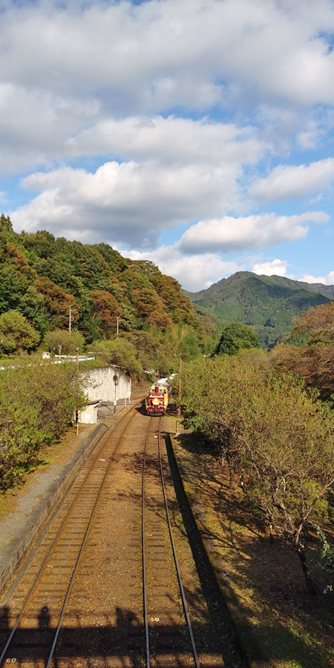 わたらせ渓谷鐵道トロッコ列車に初乗り』わたらせ(群馬県)の旅行