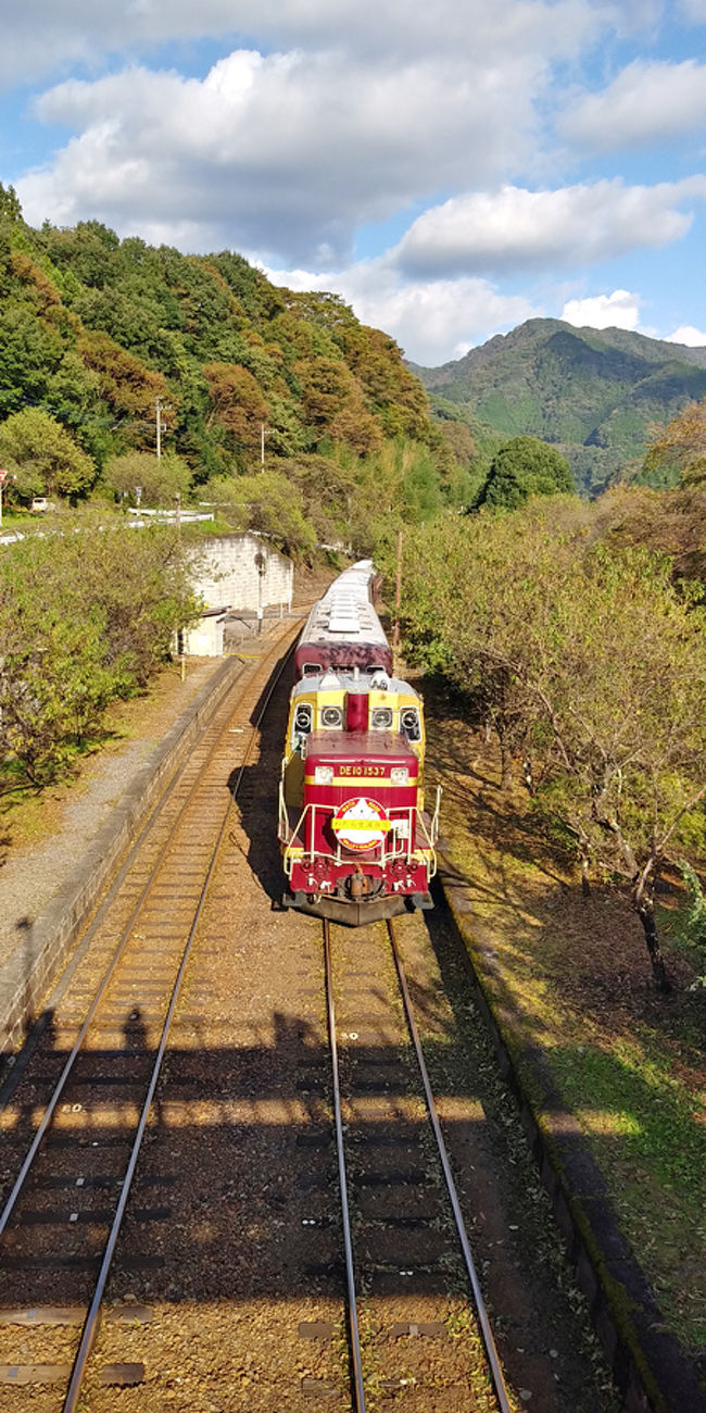 トロッコ列車 わたらせ渓谷鐵道 8722レ トロッコわたらせ渓谷4号 DE10 1678+わ