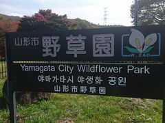 交差点の反対側には山形市野草園があります。