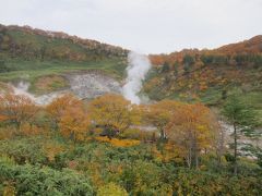 玉川温泉 新玉川温泉