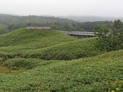 ８月下旬に知床五湖を訪れました。
あいにくの天候でしたが・・・・。
五湖は５０年ぶりの訪問です。
