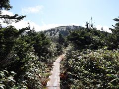 八甲田ゴードラインを散策します。
田茂萢湿原を周回できる1.8kmの遊歩道です。