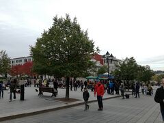 ジャック・カルティエ広場。沢山の人でにぎわっています。
緑の街路樹の奥に一面赤く紅葉した木があります。