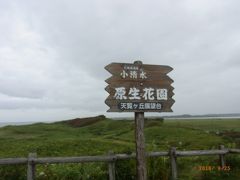  網走監獄を後にして、小清水原生花園にやってきました。
　このころから、台風が近づいてまいり、段々天候が悪くなってきます。
