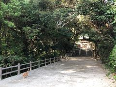 志賀海神社本宮への道