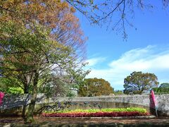 諏訪の原公園を後にして、コースは隣の小田原フラワーガーデンへ。
