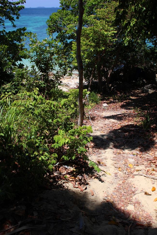 ☆Mia Luna Beach View @ Koh Lipe Thai<br /><br />道というよりは踏み跡程度の急坂を下るとMia Luna Beachです。