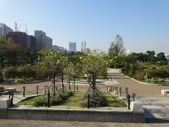 山下公園のバラ園（未来のバラ園）

大規模リニューアルされた山下公園のバラ園は、無料とは思えない程よく手入れされている。