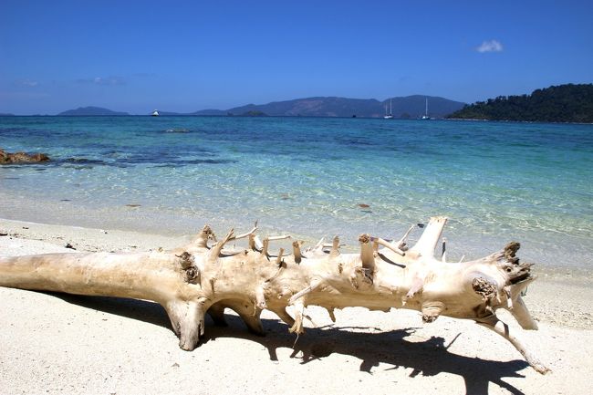 ☆Mia Luna Beach View @ Koh Lipe Thai<br /><br />流木も次第に角がとれビーチに馴染んできます。