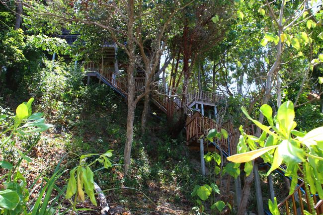 ☆Mia Luna Beach View @ Koh Lipe Thai<br /><br />でも、この小さなビーチの丘側には<br />比較的新しい別荘のような建物があります。<br />住人には出会ったことはありませんが<br />ワンコが２匹いてたまにビーチで遊んでいます。<br />でもこのビーチは別荘のものでは無いので<br />もし住人に出会ったとしても問題ありません。