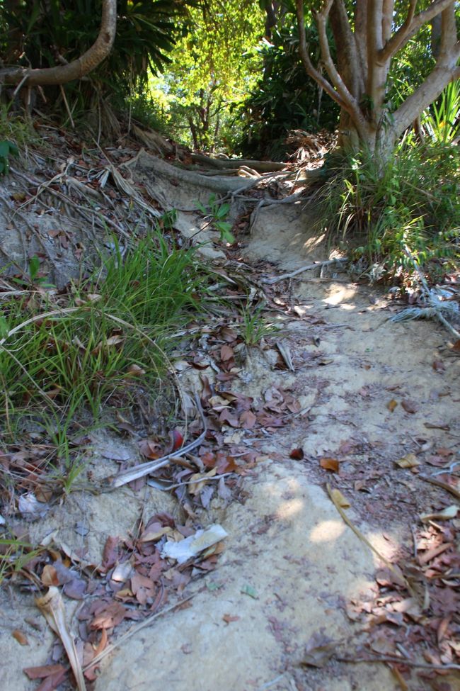 ☆Pass of Mia Luna Beach @ Koh Lipe Thai<br /><br />貸し切りのMia Luna Beachを十分堪能したので<br />今は登り降りする人もいなくなった急斜面を登り<br />Pattaya Beachに行くことにしました。<br /><br />これで★極楽タイ・最後の楽園リペ島・２０１９・Part 8-②はお終いです。<br />いつも最後までご覧下さりありがとうございます。<br />そしてして『いいね』もありがとうございます。<br /><br /><br />２０１９年のリペ島旅行記はまだ完結していませんが<br />久しぶりに色づき始めた安達太良山麓の滝を訪れたので<br />一旦リペ島旅行記は小休止します。<br /><br /><br />ではまた。　　j-ryu<br /><br /><br />