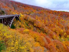 城ヶ倉大橋に到着。見てこの絶景！！！
正直天気も悪いしそこまで期待してなかったんだけど、この景色には思わず歓声が出ました！