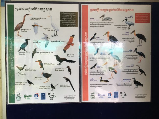 プレックトアールで見られる野鳥一覧