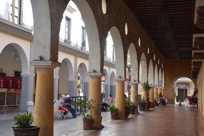 強い日差しを避けるところも多いので助かります。