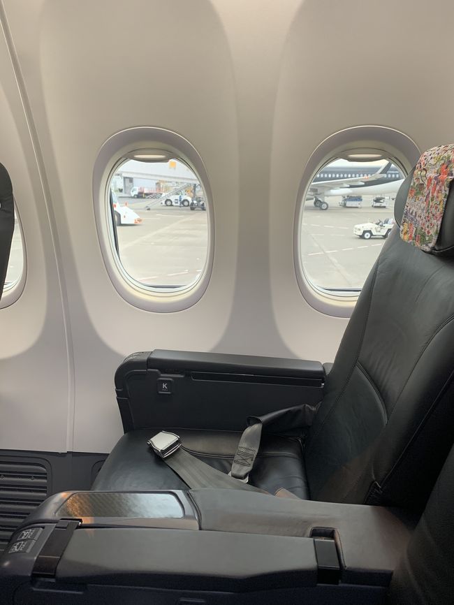 優先搭乗で2番目で機内に入りました。<br />クラスJは広々で、座り心地が良すぎて離陸前に寝ちゃいました。