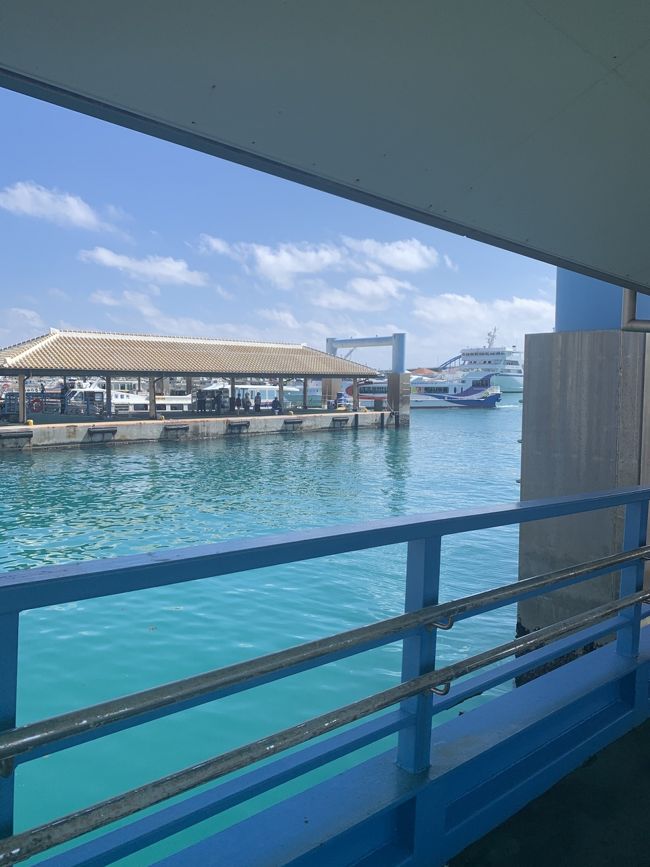 ホステルに荷物を置いて、フェリーターミナルへ。<br />VELTRAさんで予約した竹富島観光の観光会社さんのカウンターで説明を受けて、いざフェリーに乗り込みます。