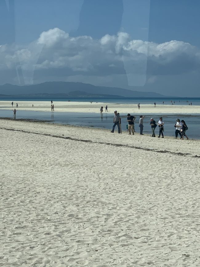 マイクロバスの中撮りました。<br />さっきの皆治浜の近く。<br />名前は忘れました。