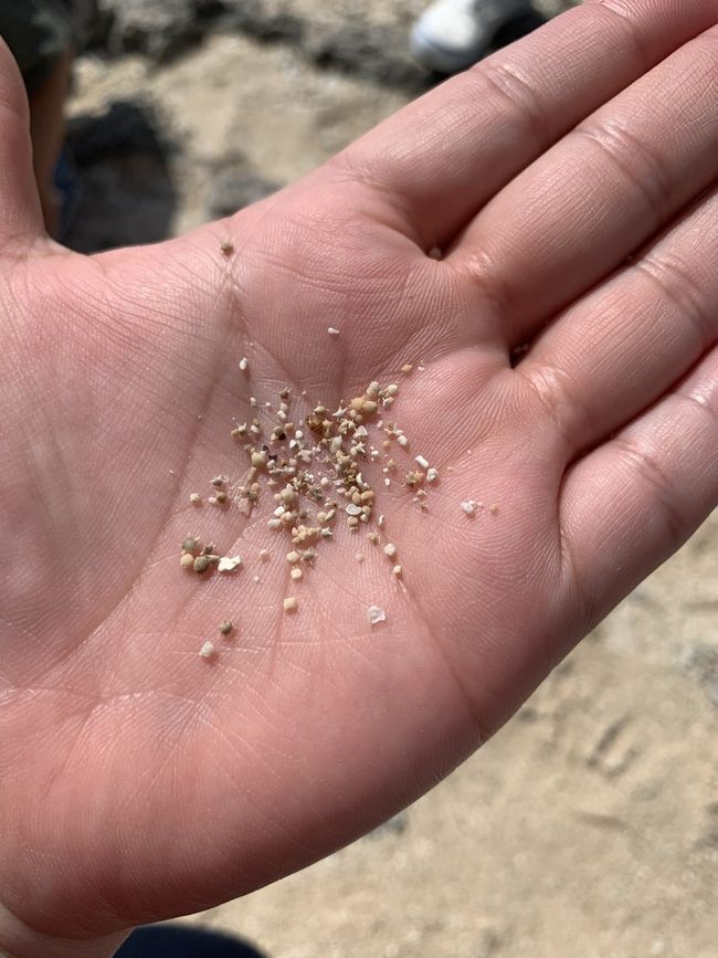 見えますか？<br />星の砂がチラホラ見えてます。