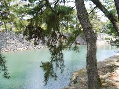 さて高松に到着です。
まずはお城のお堀をぶらぶら。

鯛がかわいいんです。
この高松城、海の近くにあるだけあって、お堀の水がなんと海水。なので、海のいきものがいっぱいおります。