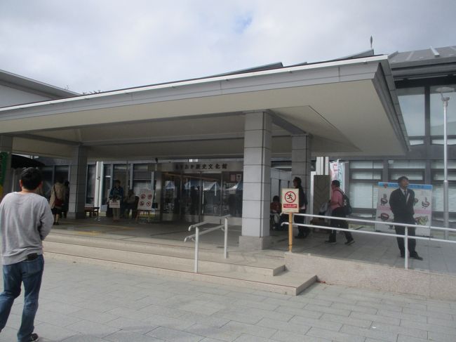 旅ラン全国制覇 フルマラソン３８都道府県目 岩手県 第１回いわて盛岡シティマラソン 盛岡 岩手県 の旅行記 ブログ By Fbrun Zさん フォートラベル