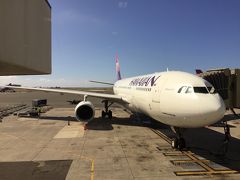 今回の搭乗機のエアバスA330
入国審査に時間がかかるのが評判悪いので、機械を導入したり相当努力している模様。今回は有人の列に並ばされました。税関の申告書は配られず、必要なかったよう。まあ日本から持って行って危ないものなんか少ないですけどね。食品や動植物の持ち込みにはうるさいですが。