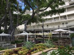 モアナサーフライダーの海側。バニヤンツリーが立派。中庭でハワイアンの生音楽