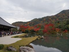 曹源地庭園
ＪＲのＣＭで使われていて訪れてみたかった所です