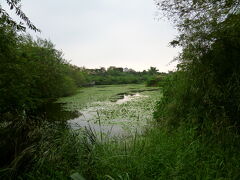 烏松湿地公園