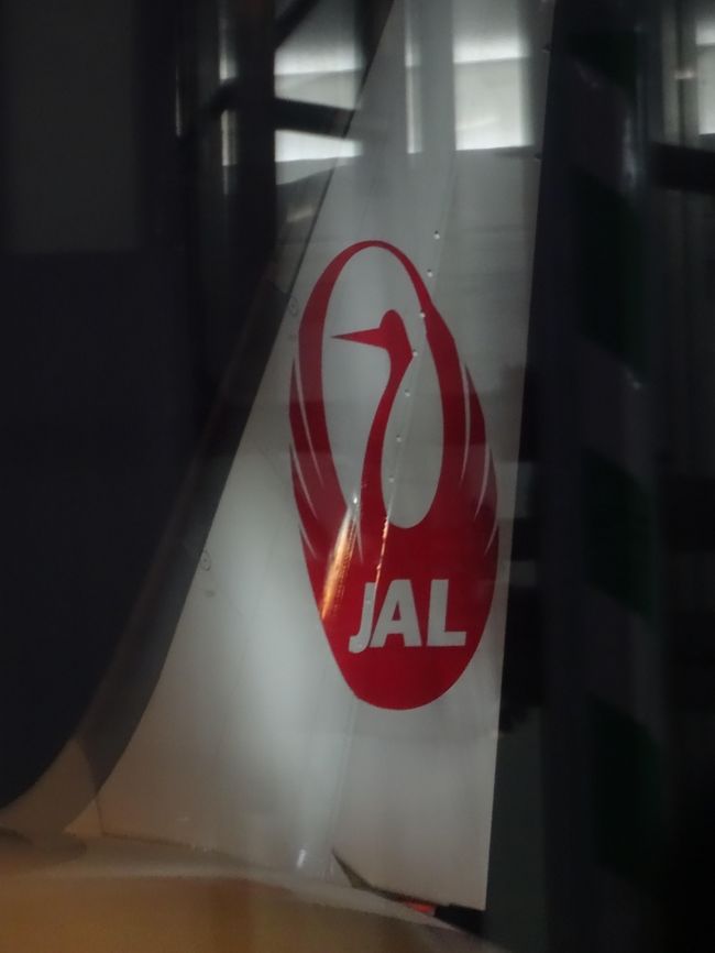 さて、今回もJALでハワイに向かいます。ボーイング787-9B。