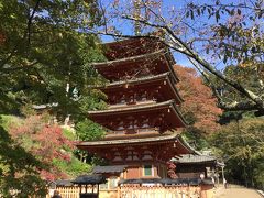 美しい五重塔。

関西で暮らしていると歴史が身近になって嬉しい。