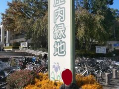  庄内緑地公園に到着しました。