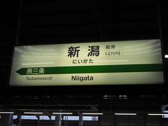 新潟駅到着。
埼玉の暑さに慣れ切っていたせいか、新幹線降りた瞬間に出た最初の一言は「寒っ!!」